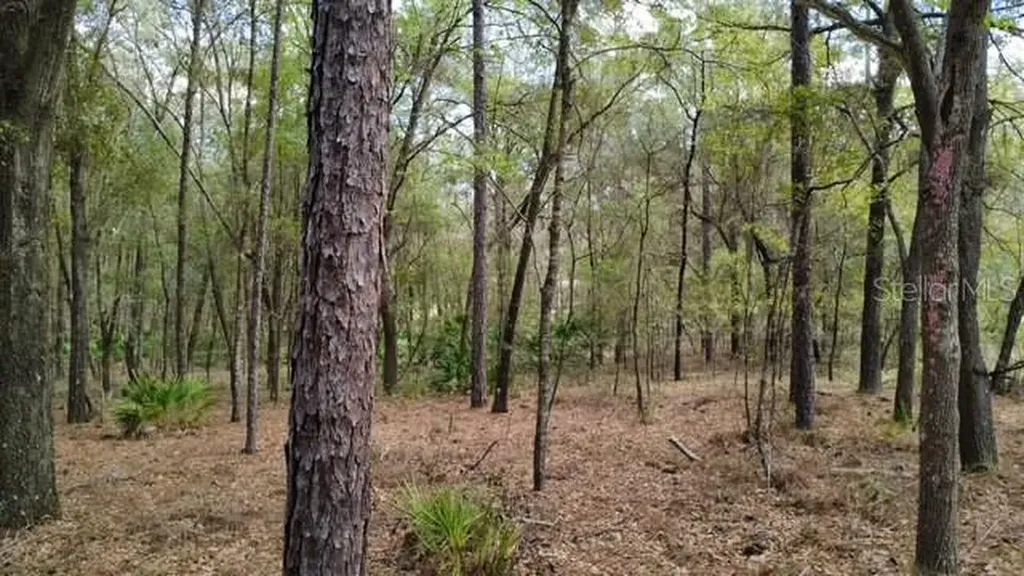 SW 73 Loop Dunnellon FL 34432