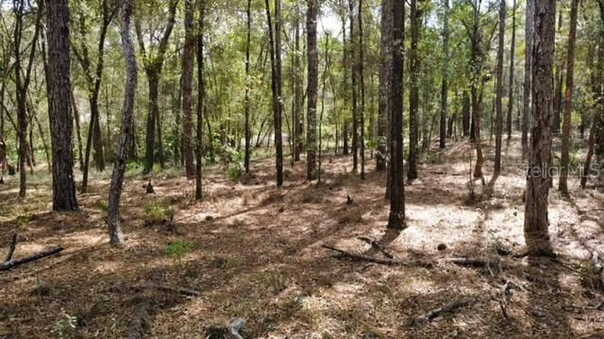 SW 73 Loop Dunnellon FL 34432