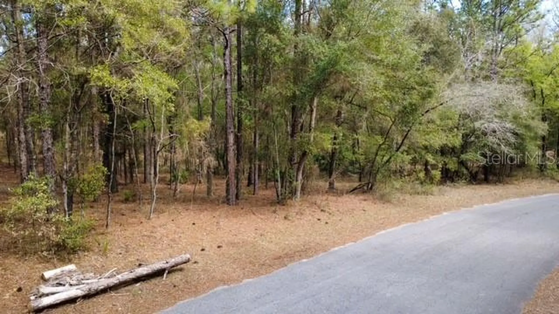 SW 73 Loop Dunnellon FL 34432