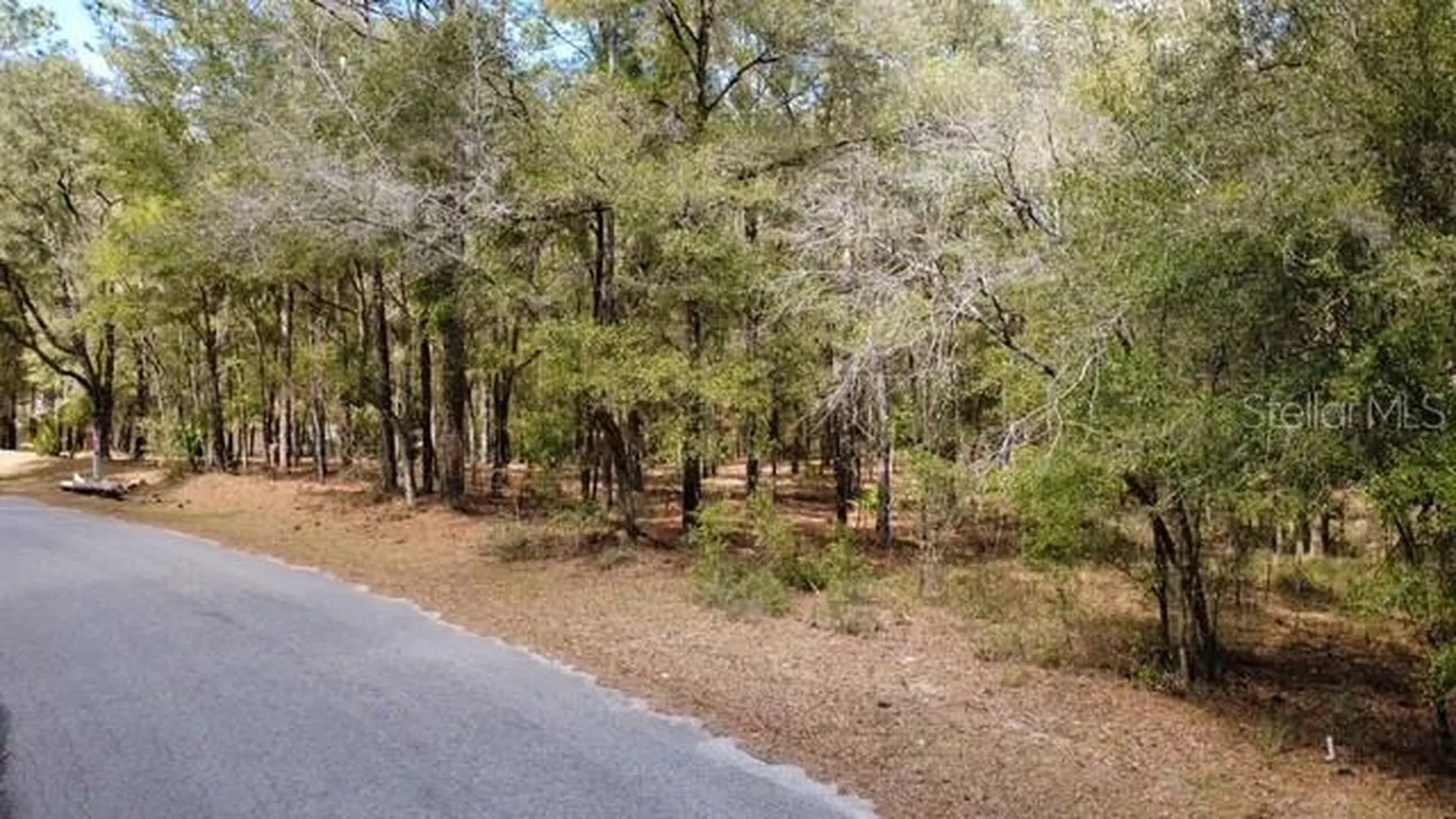 SW 73 Loop Dunnellon FL 34432