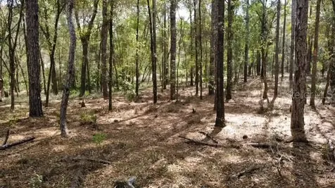 SW 73 Loop Dunnellon FL 34432