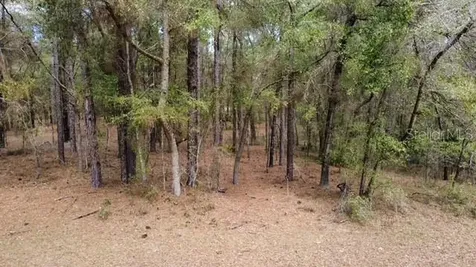 SW 73 Loop Dunnellon FL 34432