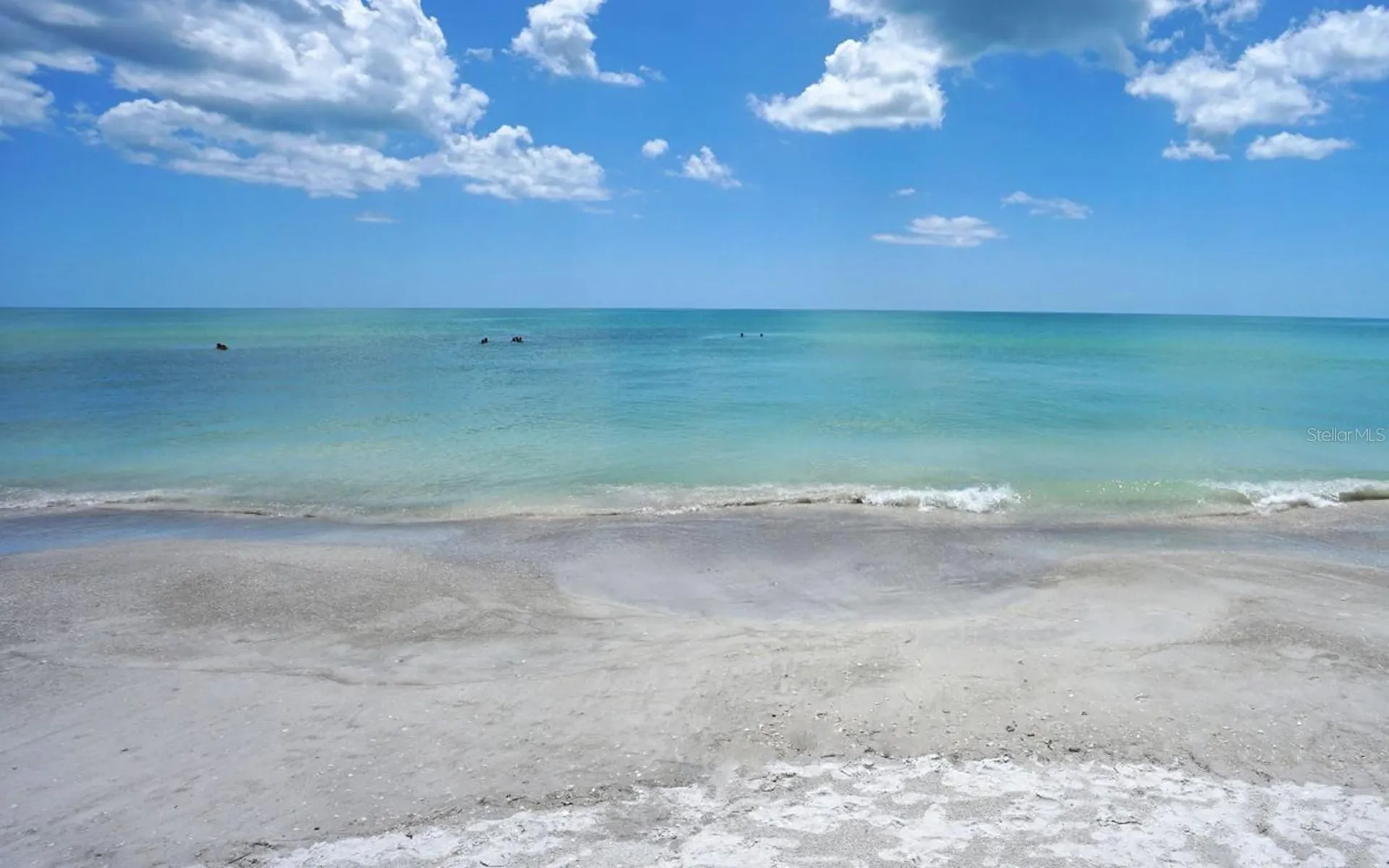 1300 Benjamin Franklin Drive Sarasota FL 34236