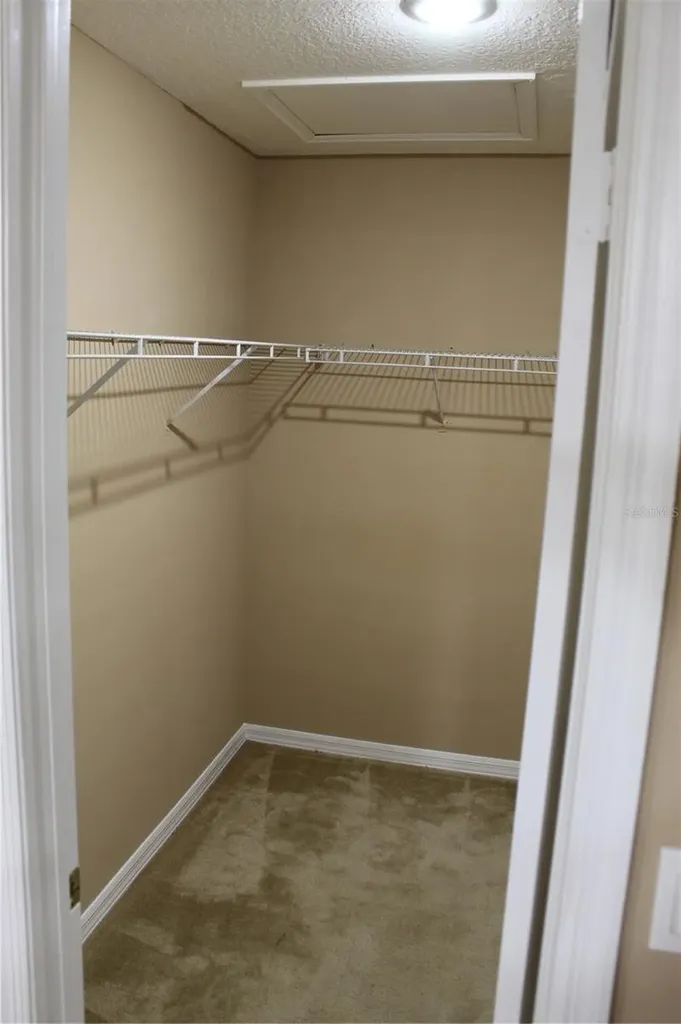 11111 Bramblebrush Street Tampa FL 33624