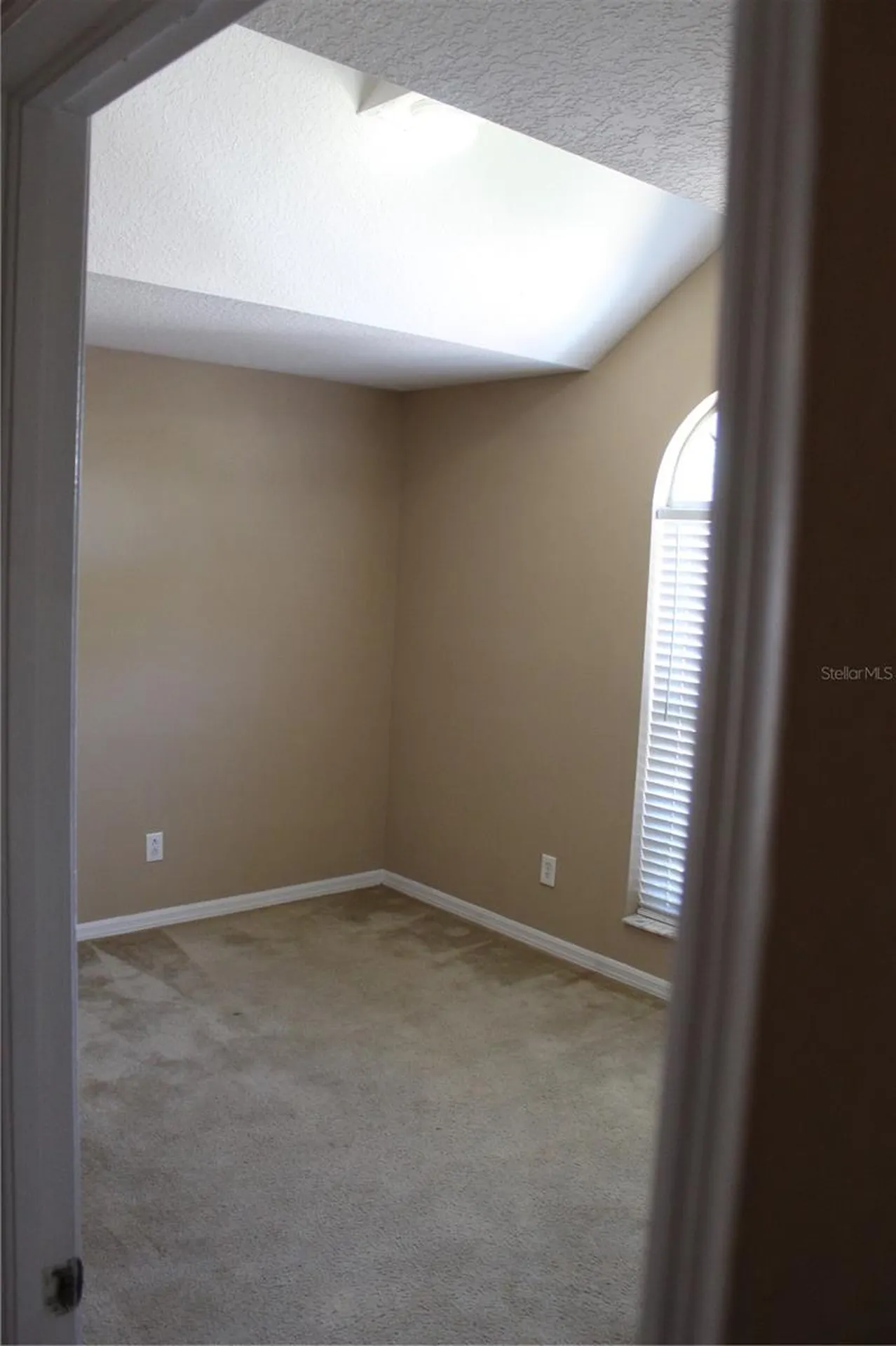 11111 Bramblebrush Street Tampa FL 33624