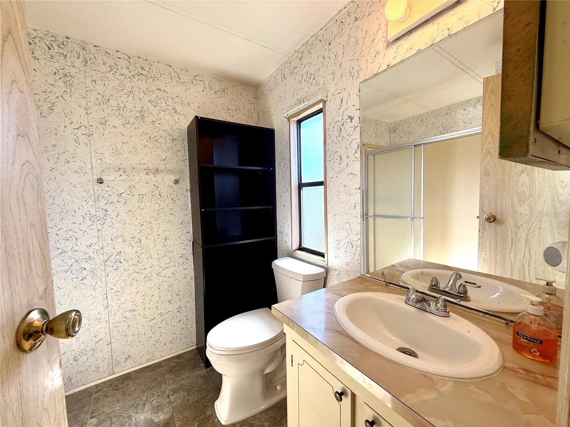 225 N Saint Thomas Circle Apollo Beach FL 33572