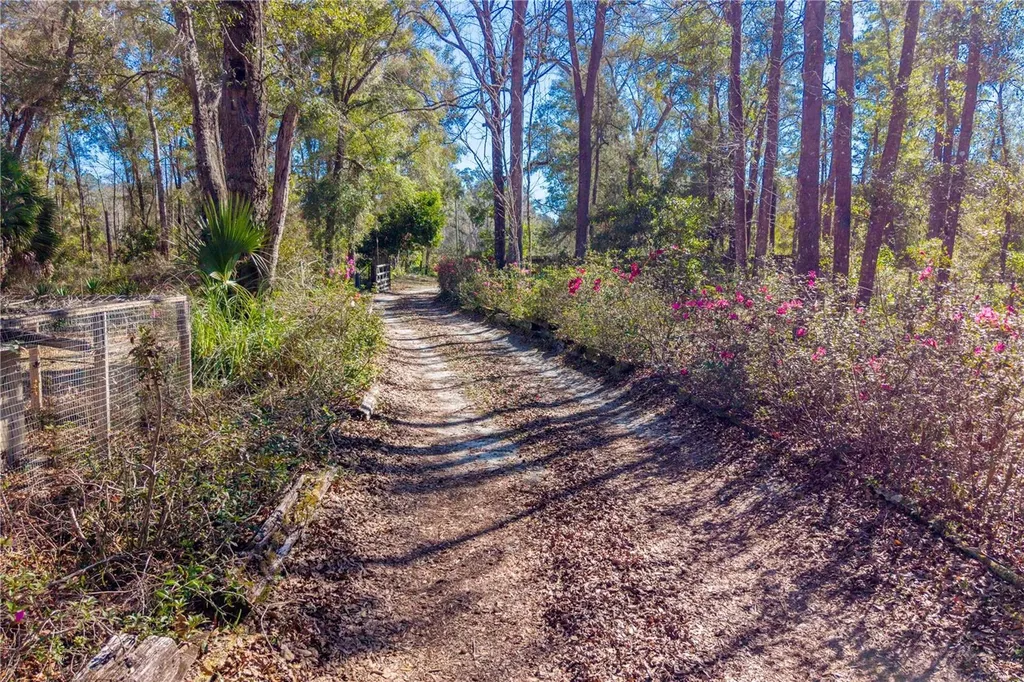 383 NE 355th Avenue Old Town FL 32680