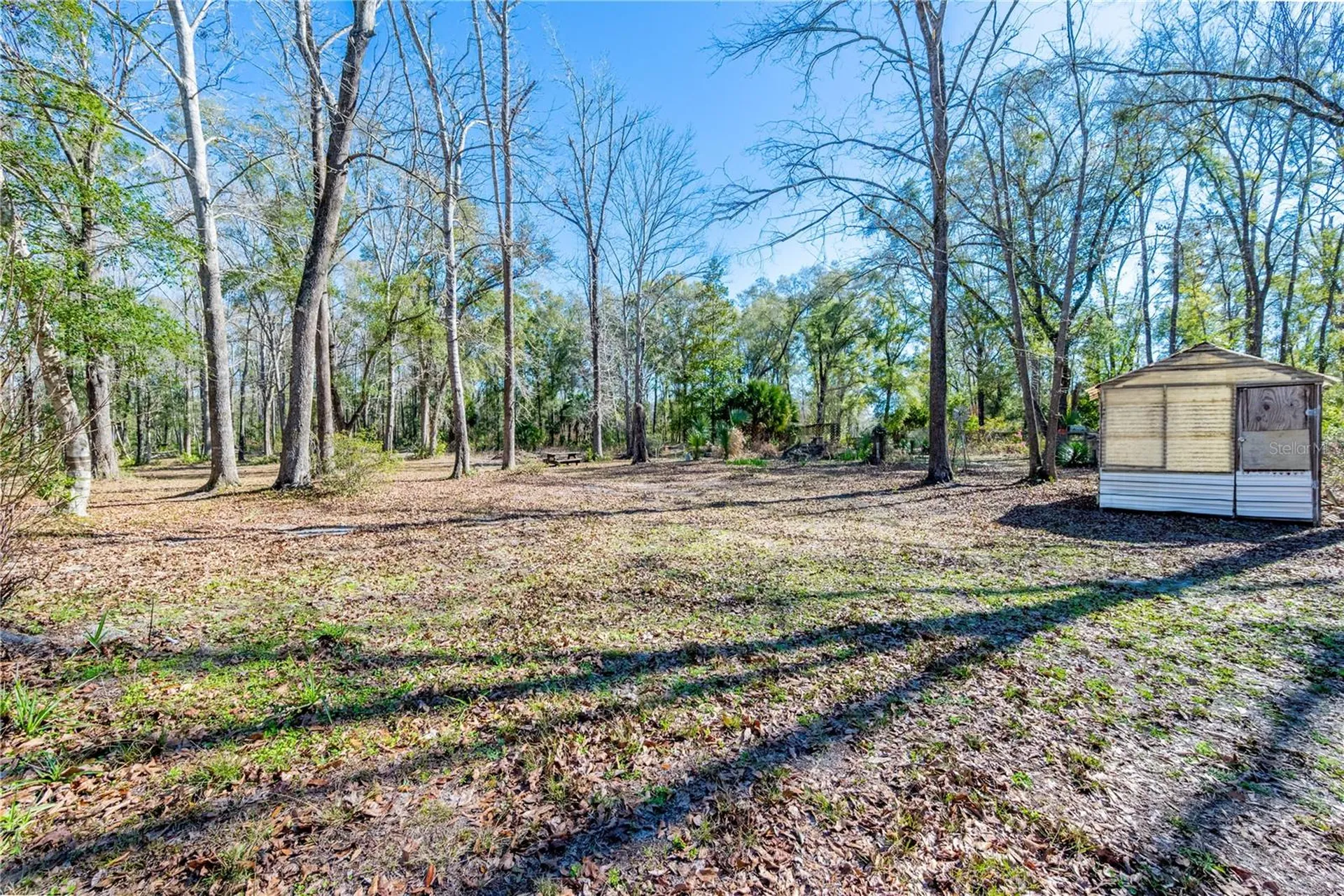 383 NE 355th Avenue Old Town FL 32680