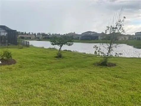 32583 Tree Of Life Avenue Wesley Chapel FL 33543