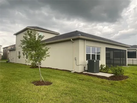 32583 Tree Of Life Avenue Wesley Chapel FL 33543