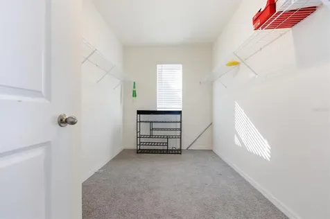 5608 Wandering Willow Drive Wesley Chapel FL 33545