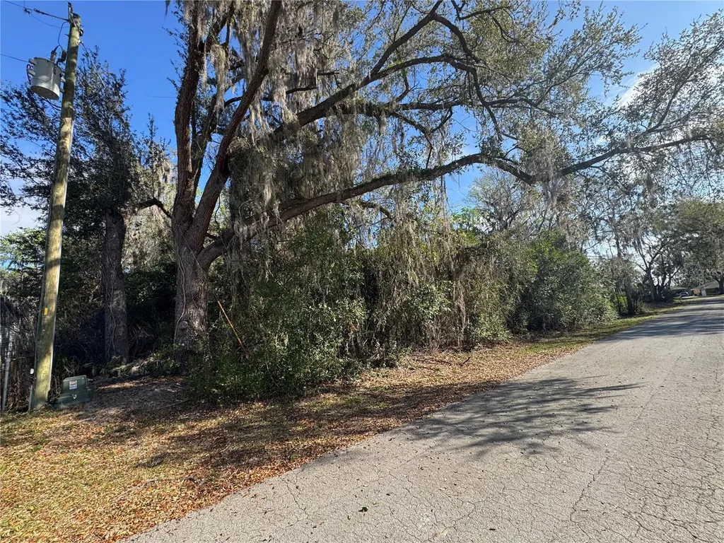 Cr 482c Lake Panasoffkee FL 33538