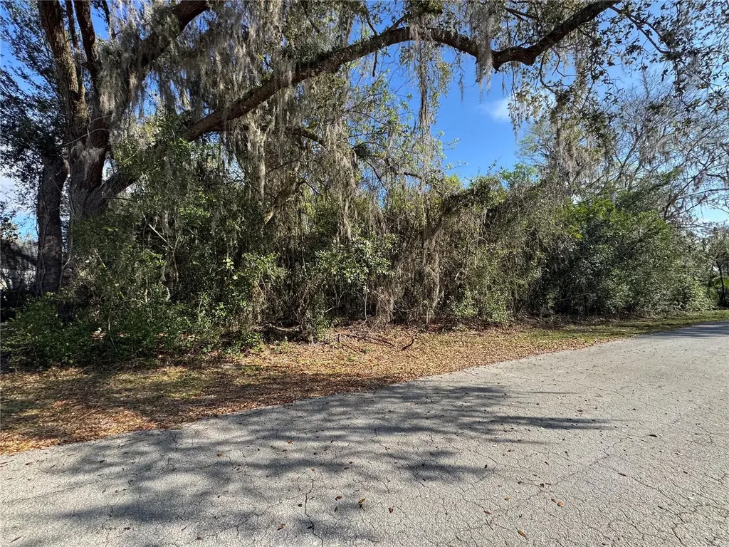 Cr 482c Lake Panasoffkee FL 33538