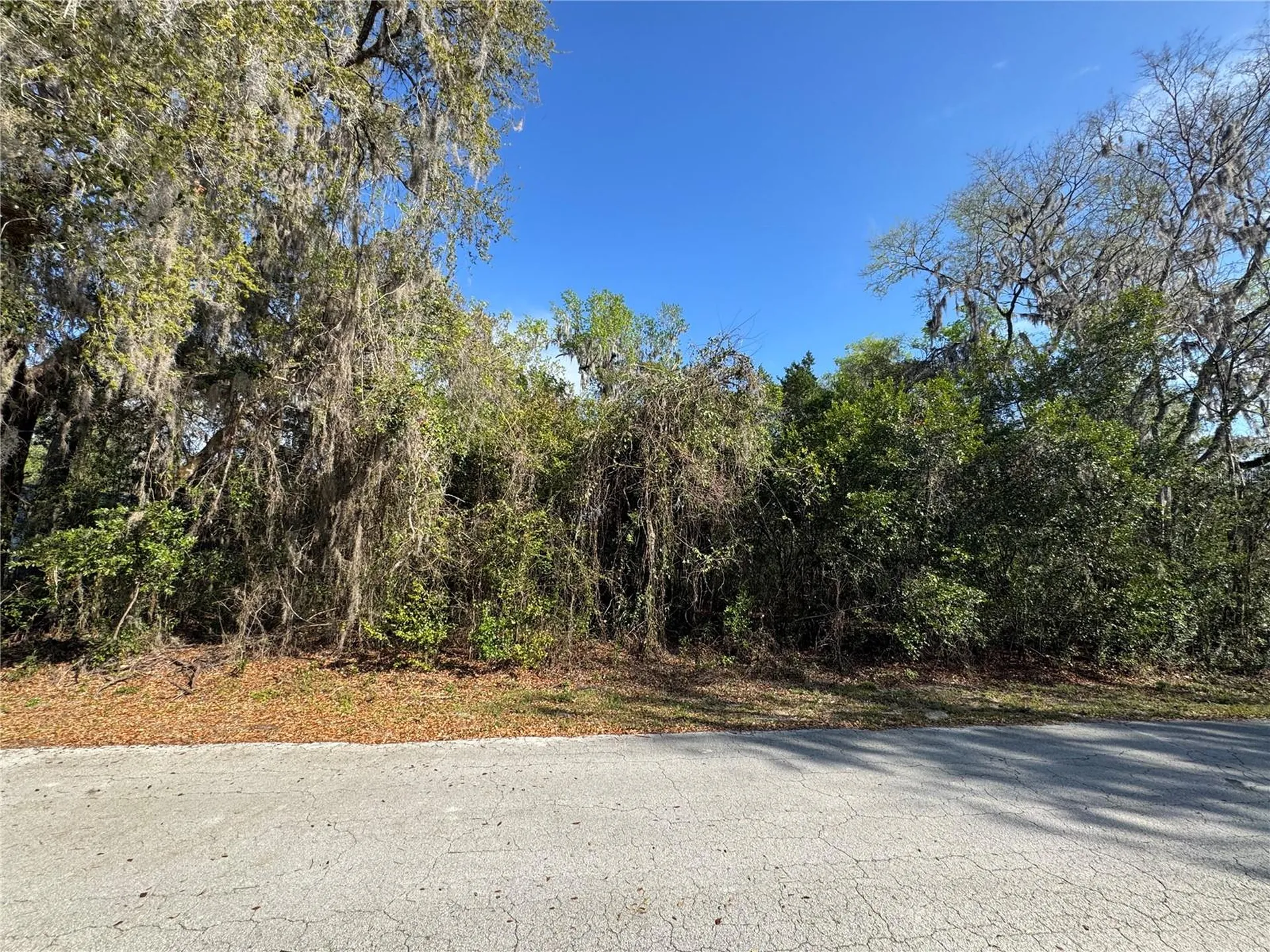 Cr 482c Lake Panasoffkee FL 33538