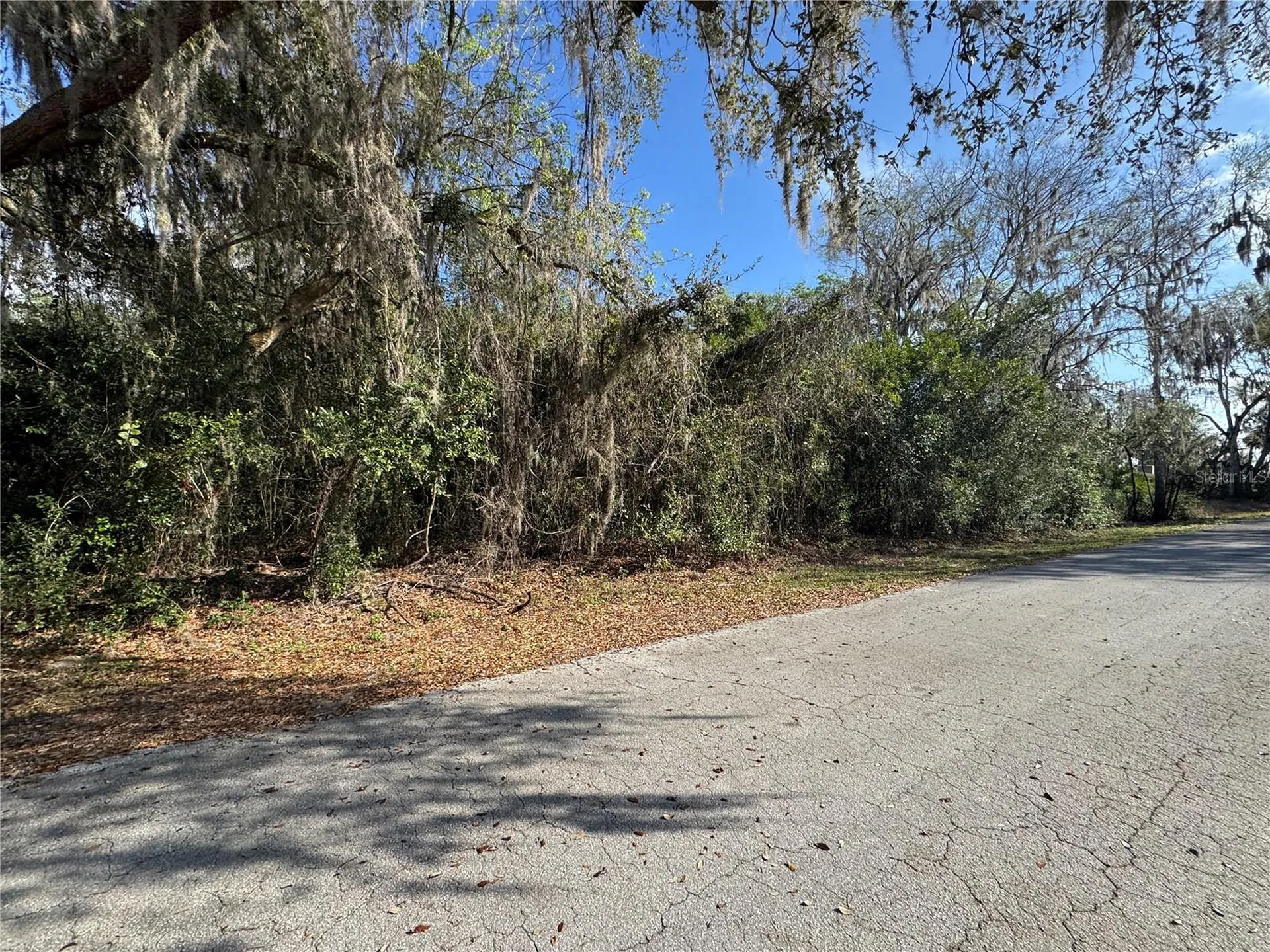 Cr 482c Lake Panasoffkee FL 33538