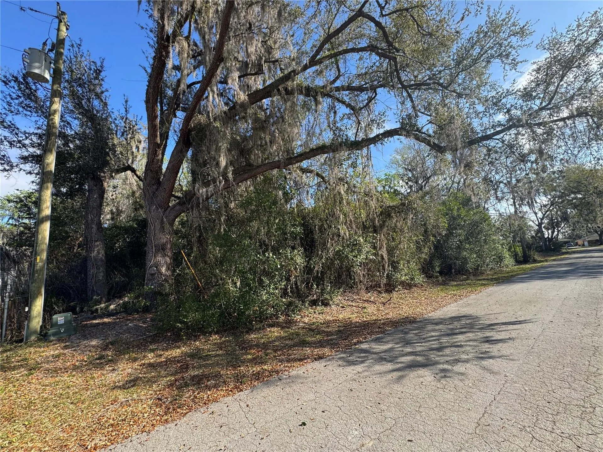 Cr 482c Lake Panasoffkee FL 33538
