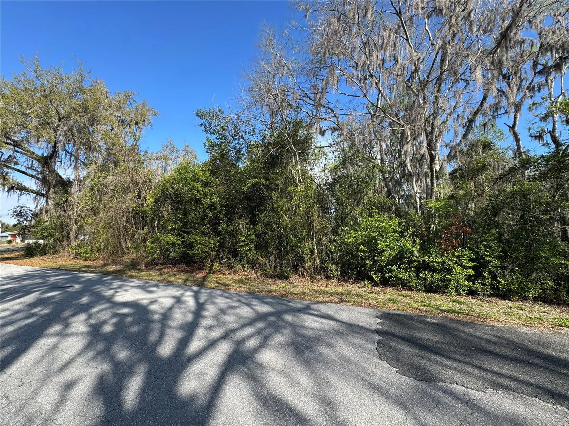 Cr 482c Lake Panasoffkee FL 33538