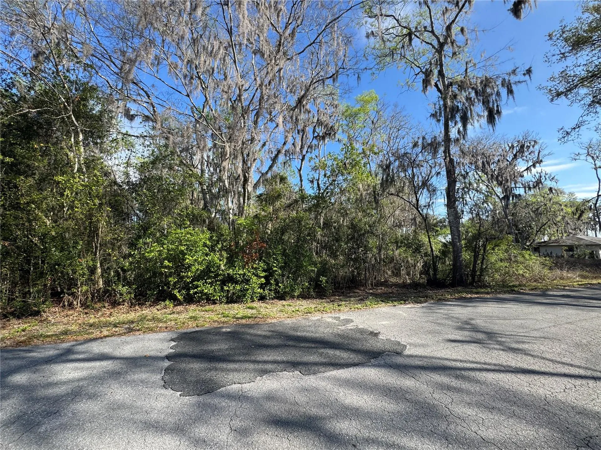 Cr 482c Lake Panasoffkee FL 33538
