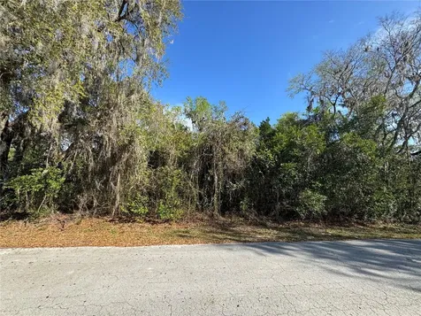 Cr 482c Lake Panasoffkee FL 33538