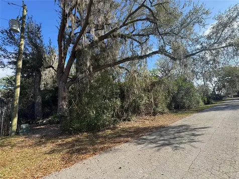 Cr 482c Lake Panasoffkee FL 33538