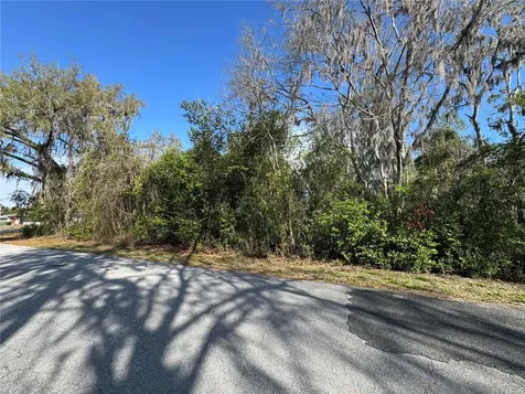 Cr 482c Lake Panasoffkee FL 33538