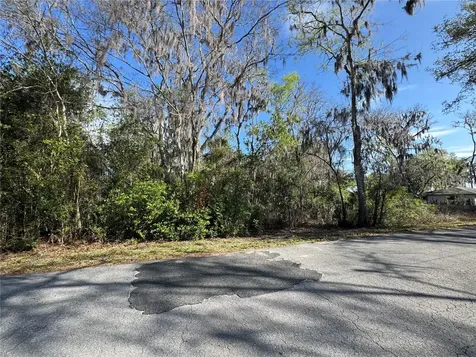 Cr 482c Lake Panasoffkee FL 33538
