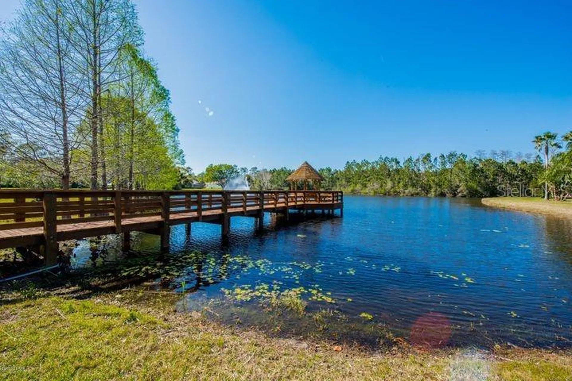 160 Pergola Place Ormond Beach FL 32174
