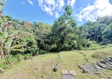 Carr 174 Bo Minillas Sect Vergara Bayamon PR 00956
