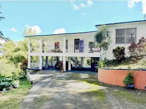 Carr 174 Bo Minillas Sect Vergara Bayamon PR 00956