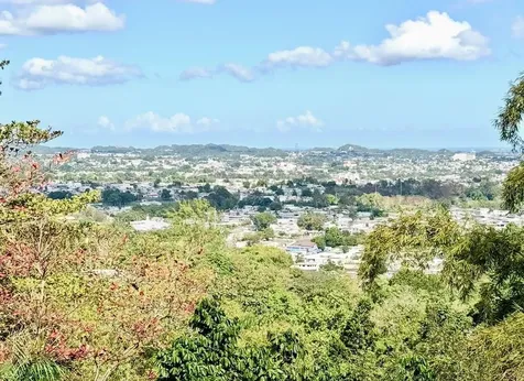 Carr 174 Bo Minillas Sect Vergara Bayamon PR 00956