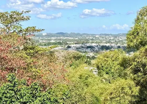 Carr 174 Bo Minillas Sect Vergara Bayamon PR 00956