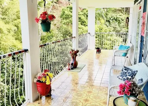 Carr 174 Bo Minillas Sect Vergara Bayamon PR 00956