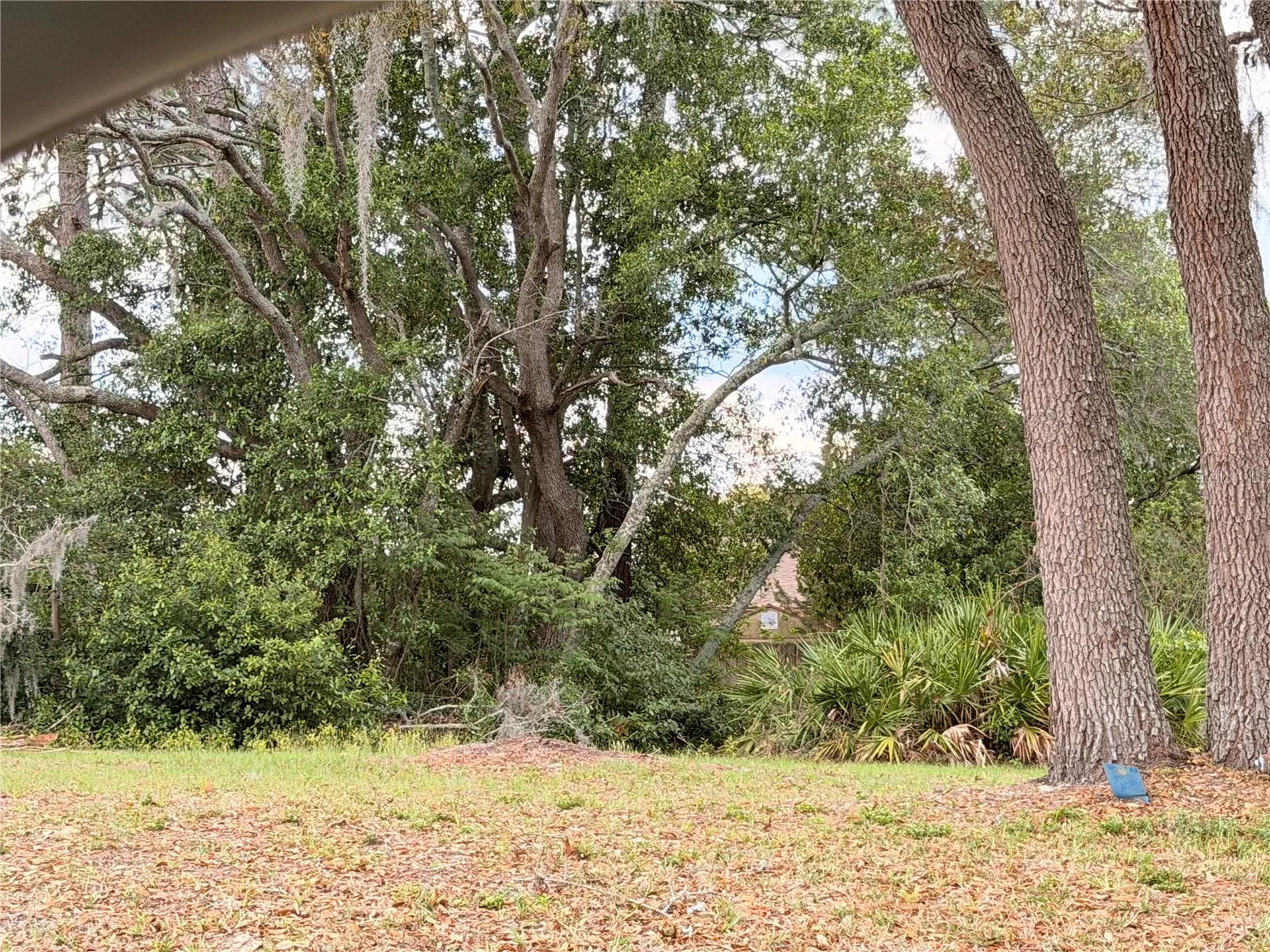 3410 Hartley Road Spring Hill FL 34606