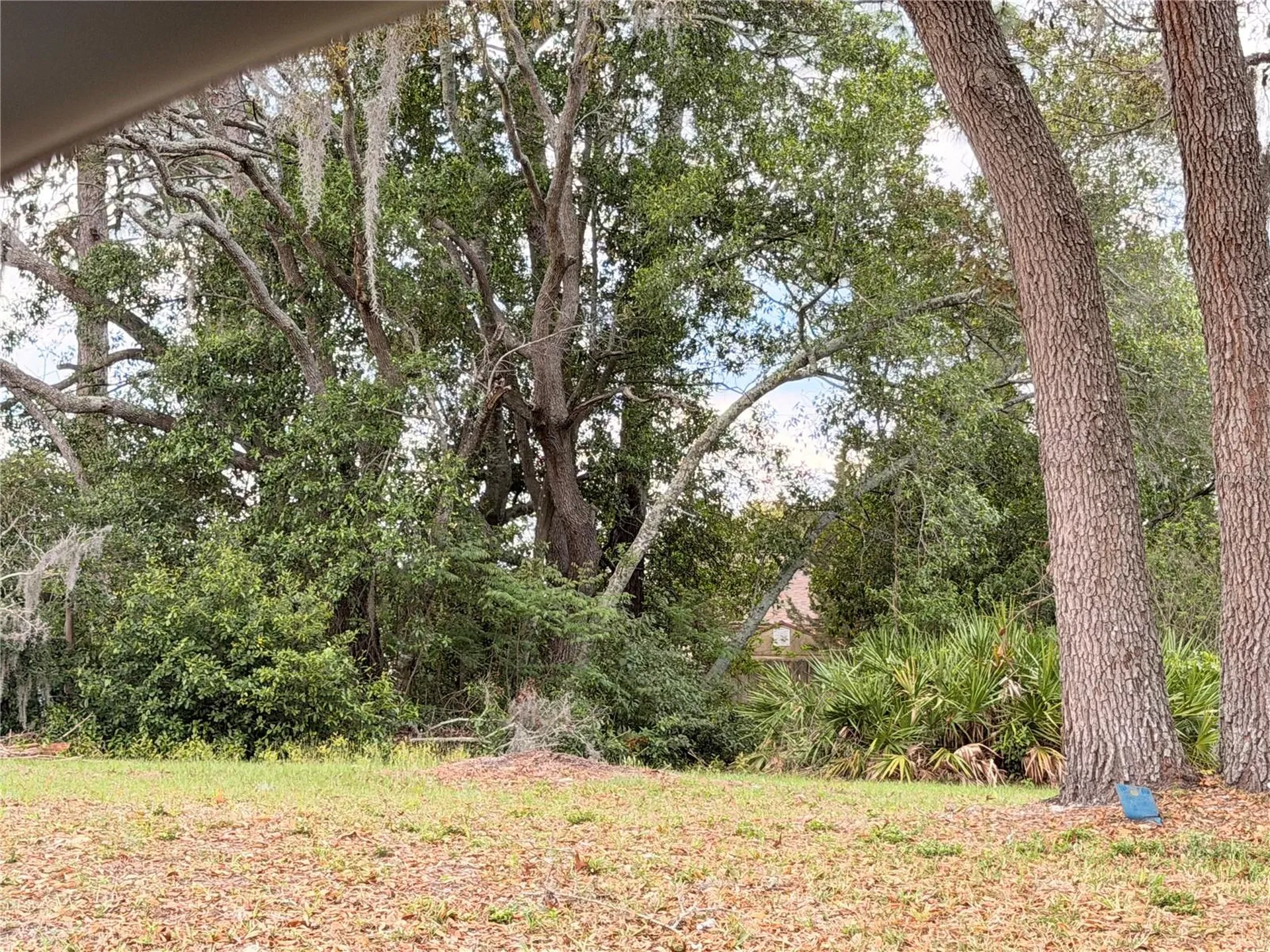 3410 Hartley Road Spring Hill FL 34606