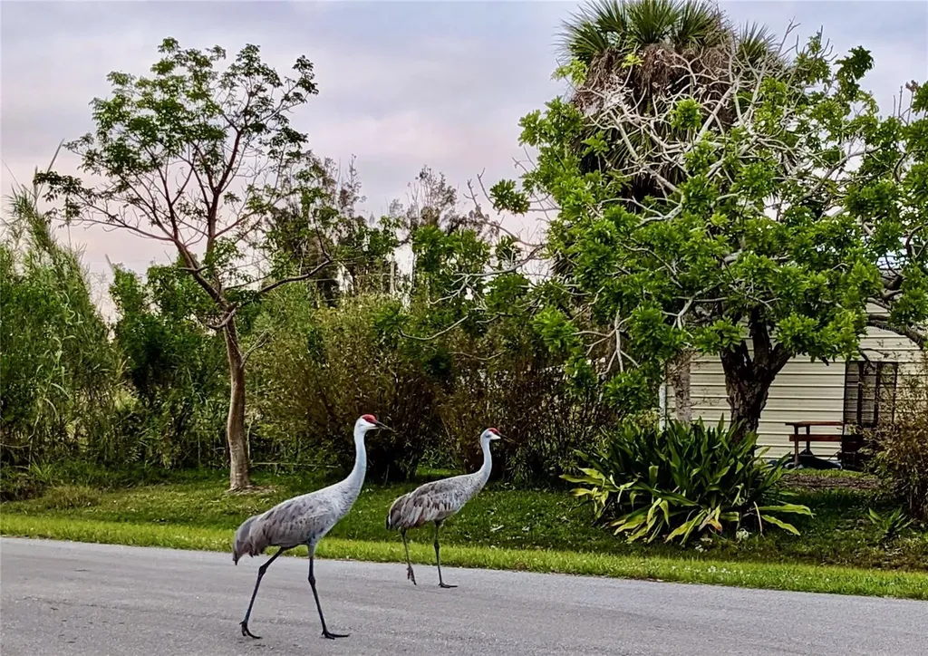 14459 River Beach Drive Port Charlotte FL 33953