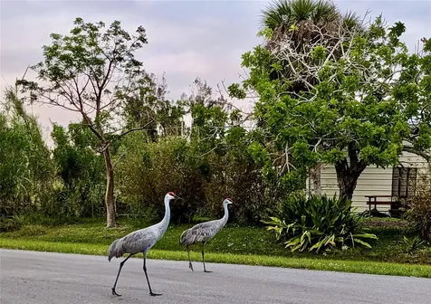 14459 River Beach Drive Port Charlotte FL 33953
