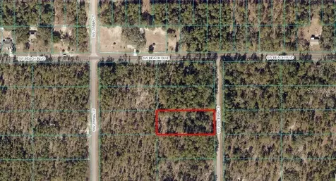 SW Wisteria Court Dunnellon FL 34432