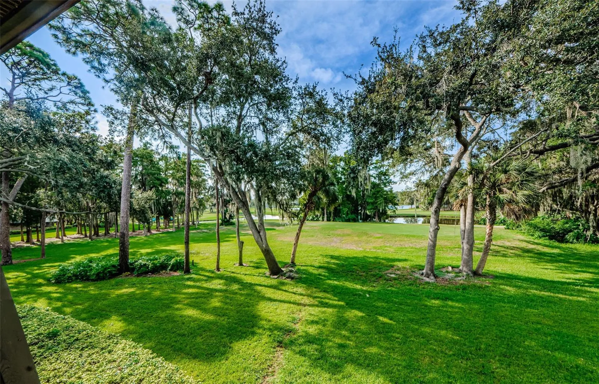 36750 Us Highway 19 N Palm Harbor FL 34684