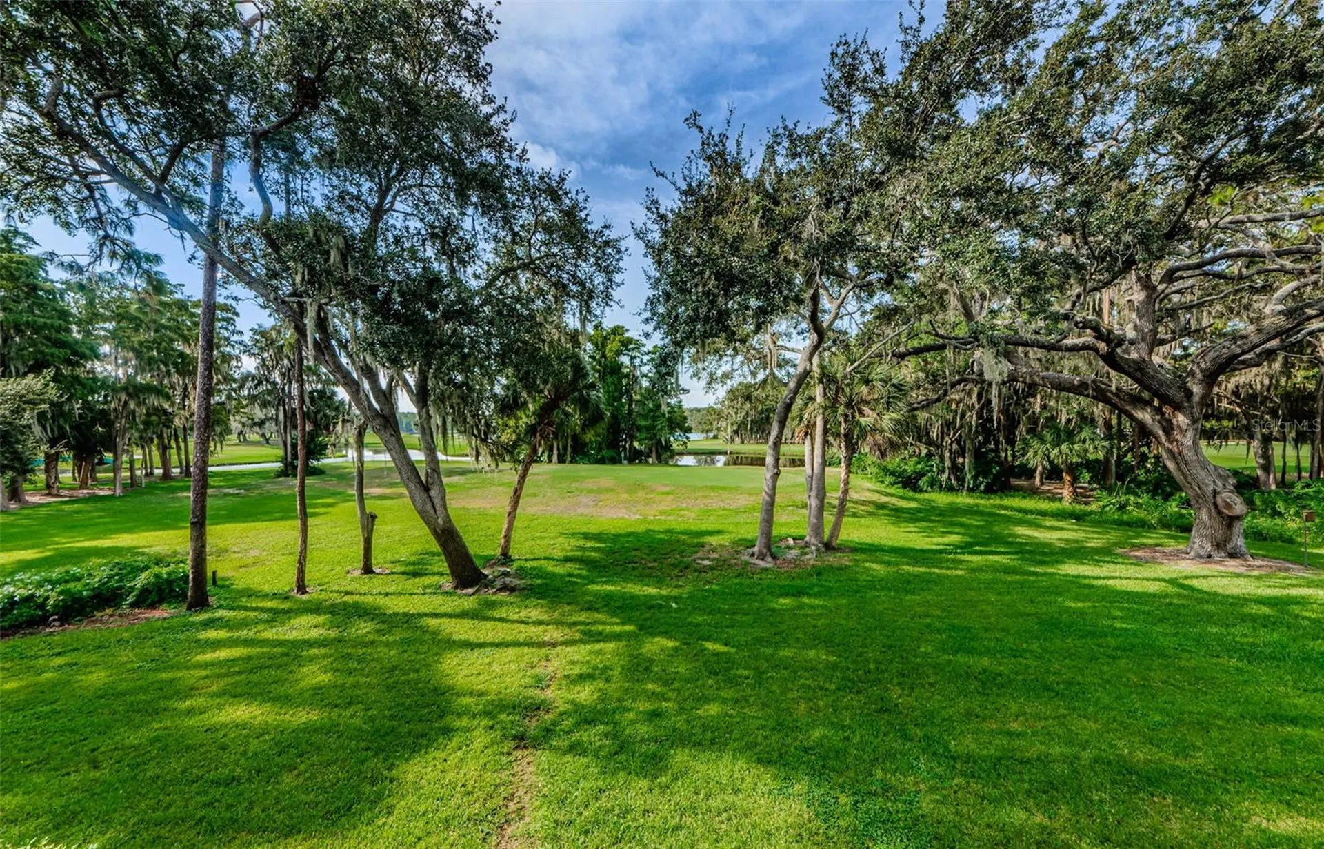 36750 Us Highway 19 N Palm Harbor FL 34684