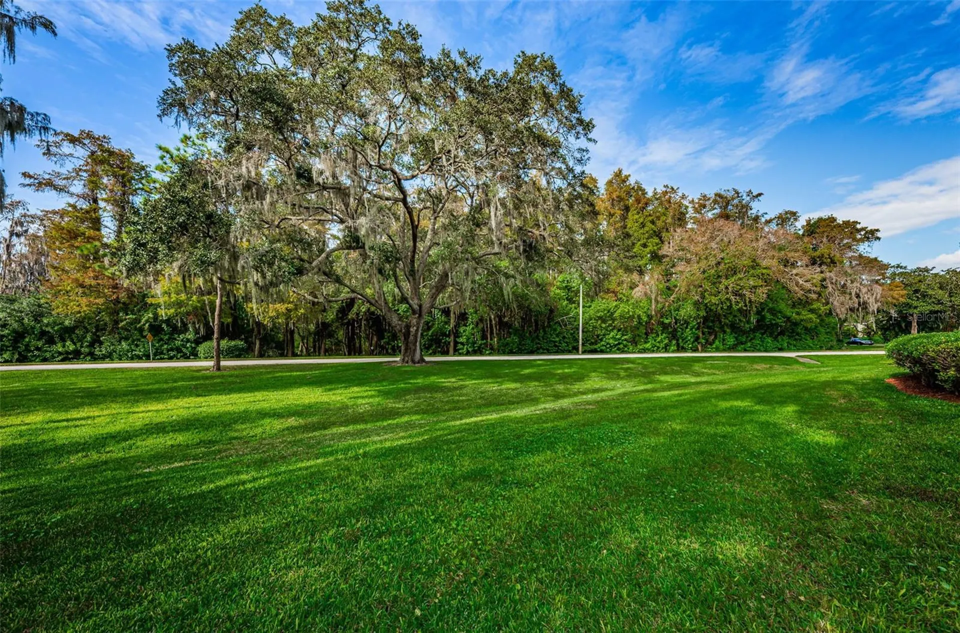 36750 Us Highway 19 N Palm Harbor FL 34684