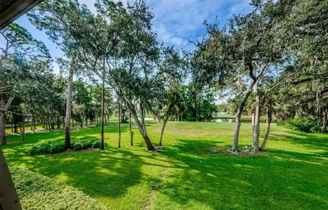 36750 Us Highway 19 N Palm Harbor FL 34684
