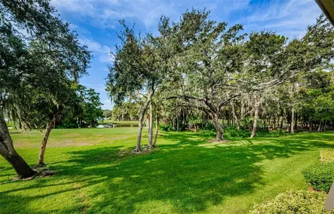 36750 Us Highway 19 N Palm Harbor FL 34684