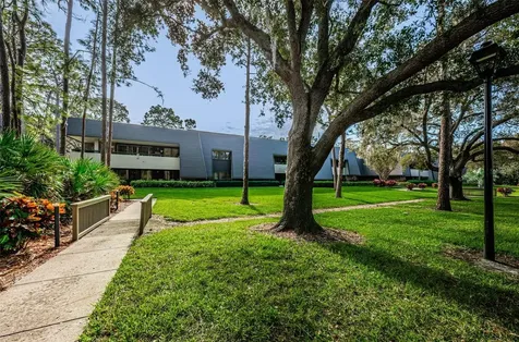 36750 Us Highway 19 N Palm Harbor FL 34684