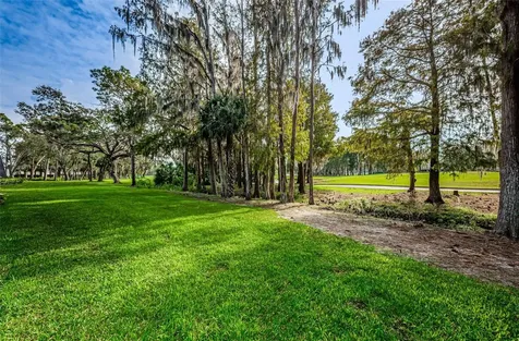 36750 Us Highway 19 N Palm Harbor FL 34684