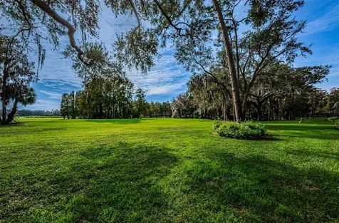 36750 Us Highway 19 N Palm Harbor FL 34684