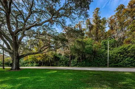 36750 Us Highway 19 N Palm Harbor FL 34684