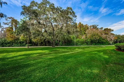 36750 Us Highway 19 N Palm Harbor FL 34684