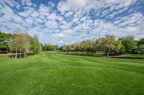 36750 Us Highway 19 N Palm Harbor FL 34684