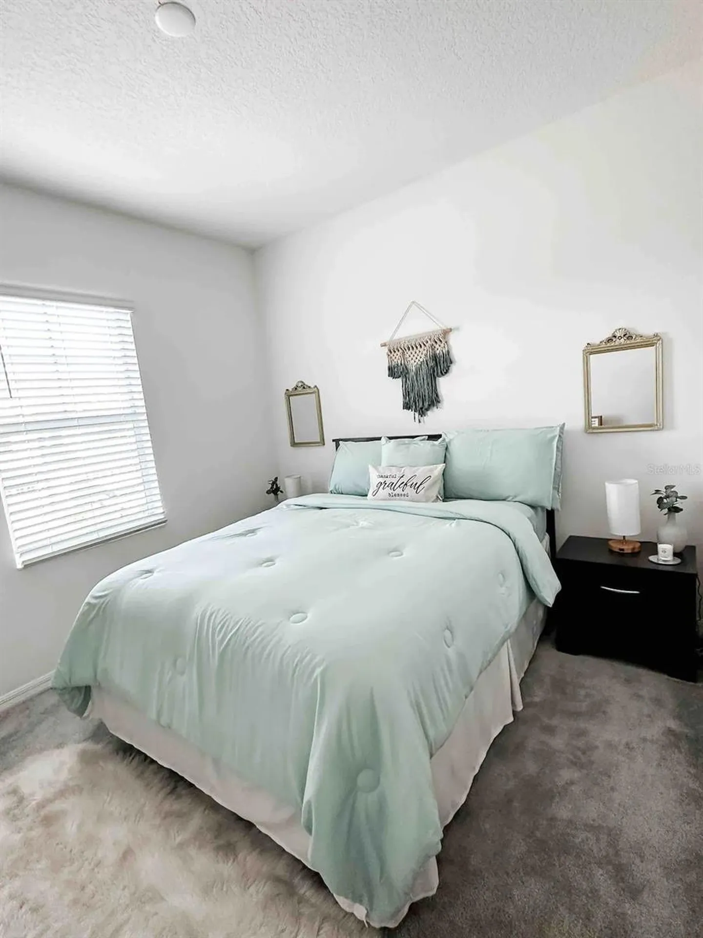 Apopka FL 32703