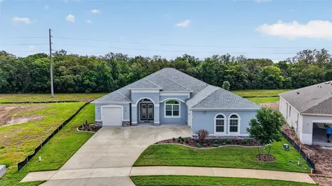 3954 Kennebunk Loop Mount Dora FL 32757